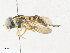  ( - CBG-A34339-A10)  @11 [ ] CreativeCommons - Attribution Share - Alike (2024) CBG Photography Group Centre for Biodiversity Genomics