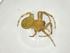  (Eriophora fuliginea - CBG-A34742-G02)  @11 [ ] CreativeCommons - Attribution Share - Alike (2024) Centre for Biodiversity Genomics Centre for Biodiversity Genomics