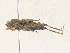  ( - CBG-A35133-A02)  @11 [ ] CreativeCommons - Attribution Share - Alike (2024) CBG Photography Group Centre for Biodiversity Genomics