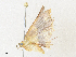  (Eois Malaise7273 - CBG-A35134-B09)  @11 [ ] CreativeCommons - Attribution Share - Alike (2024) CBG Photography Group Centre for Biodiversity Genomics