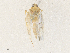 ( - CBG-A35134-C03)  @11 [ ] CreativeCommons - Attribution Share - Alike (2024) CBG Photography Group Centre for Biodiversity Genomics