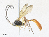  ( - CBG-A35134-G12)  @11 [ ] CreativeCommons - Attribution Share - Alike (2024) CBG Photography Group Centre for Biodiversity Genomics