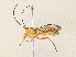  ( - CBG-A35134-H03)  @11 [ ] CreativeCommons - Attribution Share - Alike (2024) CBG Photography Group Centre for Biodiversity Genomics