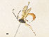  ( - CBG-A35134-H07)  @11 [ ] CreativeCommons - Attribution Share - Alike (2024) CBG Photography Group Centre for Biodiversity Genomics