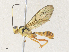  ( - CBG-A35135-C04)  @11 [ ] CreativeCommons - Attribution Share - Alike (2024) CBG Photography Group Centre for Biodiversity Genomics