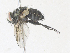  ( - CBG-A35135-D11)  @11 [ ] CreativeCommons - Attribution Share - Alike (2024) CBG Photography Group Centre for Biodiversity Genomics