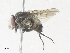  ( - CBG-A35137-E11)  @11 [ ] CreativeCommons - Attribution Share - Alike (2024) CBG Photography Group Centre for Biodiversity Genomics