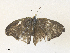  ( - CBG-A35140-A03)  @11 [ ] CreativeCommons - Attribution Share - Alike (2024) CBG Photography Group Centre for Biodiversity Genomics