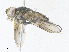  ( - CBG-A35140-E12)  @11 [ ] CreativeCommons - Attribution Share - Alike (2024) CBG Photography Group Centre for Biodiversity Genomics