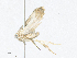  ( - CBG-A35140-F12)  @11 [ ] CreativeCommons - Attribution Share - Alike (2024) CBG Photography Group Centre for Biodiversity Genomics