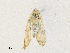  ( - CBG-A35199-G03)  @11 [ ] CreativeCommons - Attribution Share - Alike (2024) CBG Photography Group Centre for Biodiversity Genomics