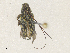  ( - CBG-A35200-G04)  @11 [ ] CreativeCommons - Attribution Share - Alike (2024) CBG Photography Group Centre for Biodiversity Genomics