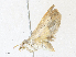  ( - CBG-A35200-G12)  @11 [ ] CreativeCommons - Attribution Share - Alike (2024) CBG Photography Group Centre for Biodiversity Genomics