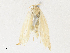  ( - CBG-A36771-A09)  @11 [ ] CreativeCommons - Attribution Share - Alike (2024) CBG Photography Group Centre for Biodiversity Genomics