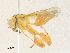  ( - CBG-A36771-E02)  @11 [ ] CreativeCommons - Attribution Share - Alike (2024) CBG Photography Group Centre for Biodiversity Genomics