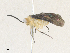  ( - CBG-A36817-C03)  @11 [ ] CreativeCommons - Attribution Share - Alike (2024) CBG Photography Group Centre for Biodiversity Genomics