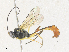  ( - CBG-A36818-C01)  @11 [ ] CreativeCommons - Attribution Share - Alike (2024) CBG Photography Group Centre for Biodiversity Genomics