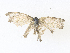  ( - CBG-A36819-A10)  @11 [ ] CreativeCommons - Attribution Share - Alike (2024) CBG Photography Group Centre for Biodiversity Genomics