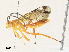  ( - CBG-A30969-C02)  @11 [ ] CreativeCommons - Attribution Share - Alike (2024) CBG Photography Group Centre for Biodiversity Genomics
