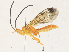  ( - CBG-A30970-E02)  @11 [ ] CreativeCommons - Attribution Share - Alike (2024) CBG Photography Group Centre for Biodiversity Genomics