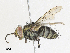  ( - CBG-A30970-E08)  @11 [ ] CreativeCommons - Attribution Share - Alike (2024) CBG Photography Group Centre for Biodiversity Genomics