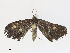  ( - CBG-A30970-F01)  @11 [ ] CreativeCommons - Attribution Share - Alike (2024) CBG Photography Group Centre for Biodiversity Genomics