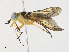  ( - CBG-A30970-G02)  @11 [ ] CreativeCommons - Attribution Share - Alike (2024) CBG Photography Group Centre for Biodiversity Genomics