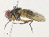  ( - CBG-A30970-G05)  @11 [ ] CreativeCommons - Attribution Share - Alike (2024) CBG Photography Group Centre for Biodiversity Genomics