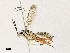  ( - CBG-A30971-A05)  @11 [ ] CreativeCommons - Attribution Share - Alike (2024) CBG Photography Group Centre for Biodiversity Genomics