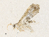  ( - CBG-A30971-D02)  @11 [ ] CreativeCommons - Attribution Share - Alike (2024) CBG Photography Group Centre for Biodiversity Genomics