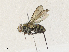  ( - CBG-A30972-C03)  @11 [ ] CreativeCommons - Attribution Share - Alike (2024) CBG Photography Group Centre for Biodiversity Genomics