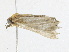  ( - CBG-A30972-G12)  @11 [ ] CreativeCommons - Attribution Share - Alike (2024) CBG Photography Group Centre for Biodiversity Genomics