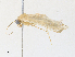  ( - CBG-A33495-B04)  @11 [ ] CreativeCommons - Attribution Share-Alike (2024) CBG Photography Group Centre for Biodiversity Genomics