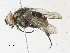  ( - CBG-A33496-E10)  @11 [ ] CreativeCommons - Attribution Share-Alike (2024) CBG Photography Group Centre for Biodiversity Genomics