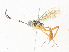  ( - CBG-A33497-E08)  @11 [ ] CreativeCommons - Attribution Share - Alike (2024) CBG Photography Group Centre for Biodiversity Genomics
