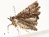  ( - CBG-A65326-H02)  @11 [ ] CreativeCommons - Attribution Share - Alike (2025) CBG Photography Group Centre for Biodiversity Genomics
