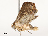  ( - CBG-A67897-A08)  @11 [ ] CreativeCommons - Attribution Share - Alike (2025) CBG Photography Group Centre for Biodiversity Genomics