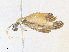  ( - CBG-A36771-H01)  @11 [ ] CreativeCommons - Attribution Share - Alike (2024) CBG Photography Group Centre for Biodiversity Genomics