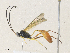  ( - CBG-A36773-E07)  @11 [ ] CreativeCommons - Attribution Share - Alike (2024) CBG Photography Group Centre for Biodiversity Genomics