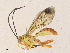  ( - CBG-A36774-H03)  @11 [ ] CreativeCommons - Attribution Share - Alike (2024) CBG Photography Group Centre for Biodiversity Genomics