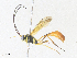  ( - CBG-A36819-F09)  @11 [ ] CreativeCommons - Attribution Share - Alike (2024) CBG Photography Group Centre for Biodiversity Genomics