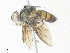  ( - CBG-A36820-C11)  @11 [ ] CreativeCommons - Attribution Share - Alike (2024) CBG Photography Group Centre for Biodiversity Genomics