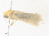  ( - CBG-A36820-D09)  @11 [ ] CreativeCommons - Attribution Share - Alike (2024) CBG Photography Group Centre for Biodiversity Genomics