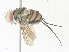  ( - CBG-A36821-B09)  @11 [ ] CreativeCommons - Attribution Share - Alike (2024) CBG Photography Group Centre for Biodiversity Genomics