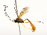  ( - CBG-A51909-E07)  @11 [ ] CreativeCommons - Attribution Share - Alike (2024) CBG Photography Group Centre for Biodiversity Genomics