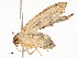  ( - CBG-A51911-B01)  @11 [ ] CreativeCommons - Attribution Share - Alike (2024) CBG Photography Group Centre for Biodiversity Genomics