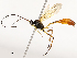  ( - CBG-A51912-A04)  @11 [ ] CreativeCommons - Attribution Share - Alike (2024) CBG Photography Group Centre for Biodiversity Genomics