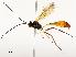  ( - CBG-A51912-A05)  @11 [ ] CreativeCommons - Attribution Share - Alike (2024) CBG Photography Group Centre for Biodiversity Genomics