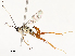  ( - CBG-A51912-A06)  @11 [ ] CreativeCommons - Attribution Share - Alike (2024) CBG Photography Group Centre for Biodiversity Genomics