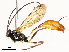  ( - CBG-A51912-A08)  @11 [ ] CreativeCommons - Attribution Share - Alike (2024) CBG Photography Group Centre for Biodiversity Genomics